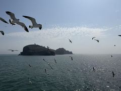 -海驴岛(荣成市)