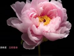 -回龙观体育文化公园