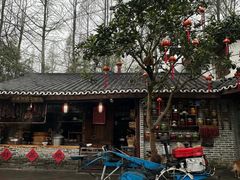 -青城甲(青城山店)