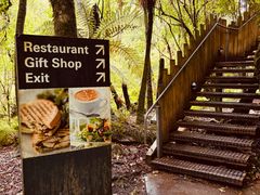 -怀托摩萤火虫洞