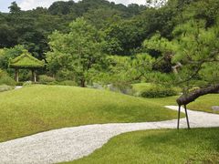 -云溪植物园