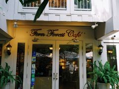 -Fern Forest Cafe