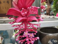 -二酉书店TOYOU BOOKS