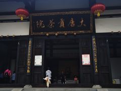 -大唐贡茶院