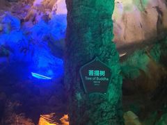 -佛爷洞旅游景区