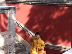-玉泉观