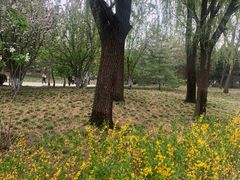 -元大都城垣遗址公园