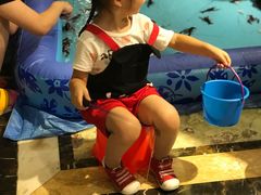 -碧桂园凤凰城酒店(南京店)