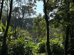 -莫里热带雨林景区