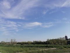 -永定河休闲森林公园