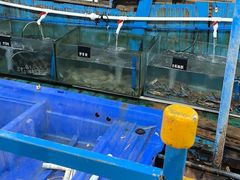 -蓝湾碧波·老字号·疍家非遗海上餐厅