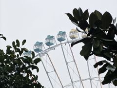 -君来湖滨饭店·玫瑰园