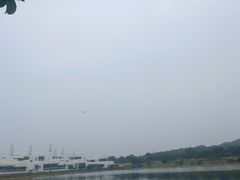-羊山湖公园