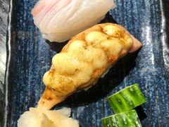 -鲤·鮨KOISUSHI