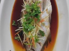 -掌勺人鱼馆(朝阳镇店)