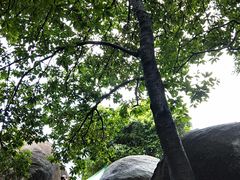 -火炉山森林公园