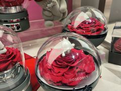 -ROSEONLY诺誓(沈阳万象城店)