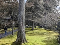 -三千院