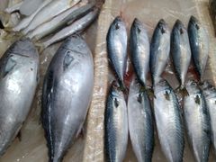 -京深海鲜市场(光彩路店)
