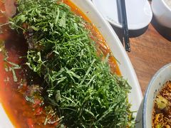 -老字号怡玺·藿香雅鱼(20年雅安店)