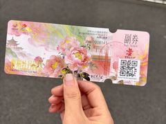 -曹州牡丹园