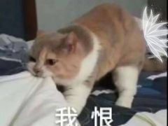 -复康路游泳馆