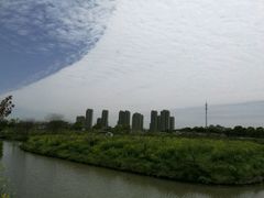 -南汇桃花村