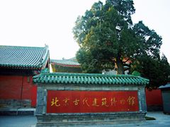 -古陶文明博物馆