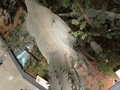 -湖南省地质博物馆