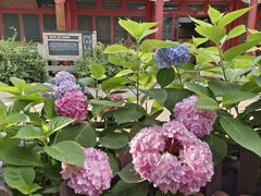 -北京石刻艺术博物馆(五塔寺)