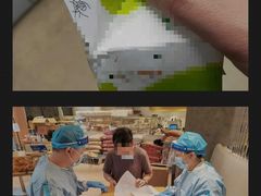 -WHEN PIGS FLY当猪飞