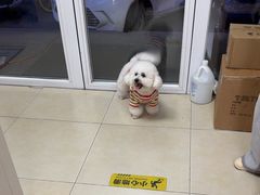 -宠福鑫康馨动物医院·骨科·眼科