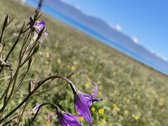 -赛里木湖风景名胜区