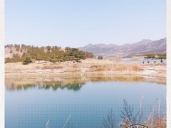 -十三陵水库