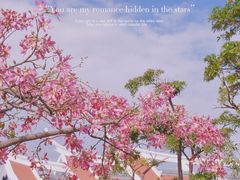 -集美鳌园景区