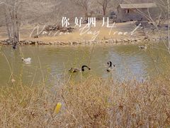 -长白岛森林公园