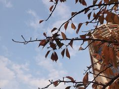 -中国计量大学(西校区)