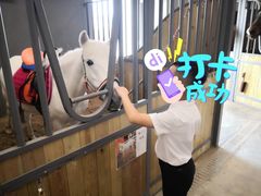 -骑乐马术(广州奥体优托邦中心)