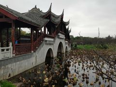 -上海海湾国家森林公园