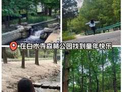 -白水寺森林公园