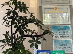 -北京地坛口腔门诊部