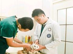 -瑞派康怡24h宠物医院·犬猫医疗中心·微创绝育(瑞景分院)