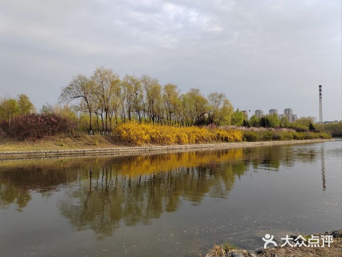 长春市南湖公园图片