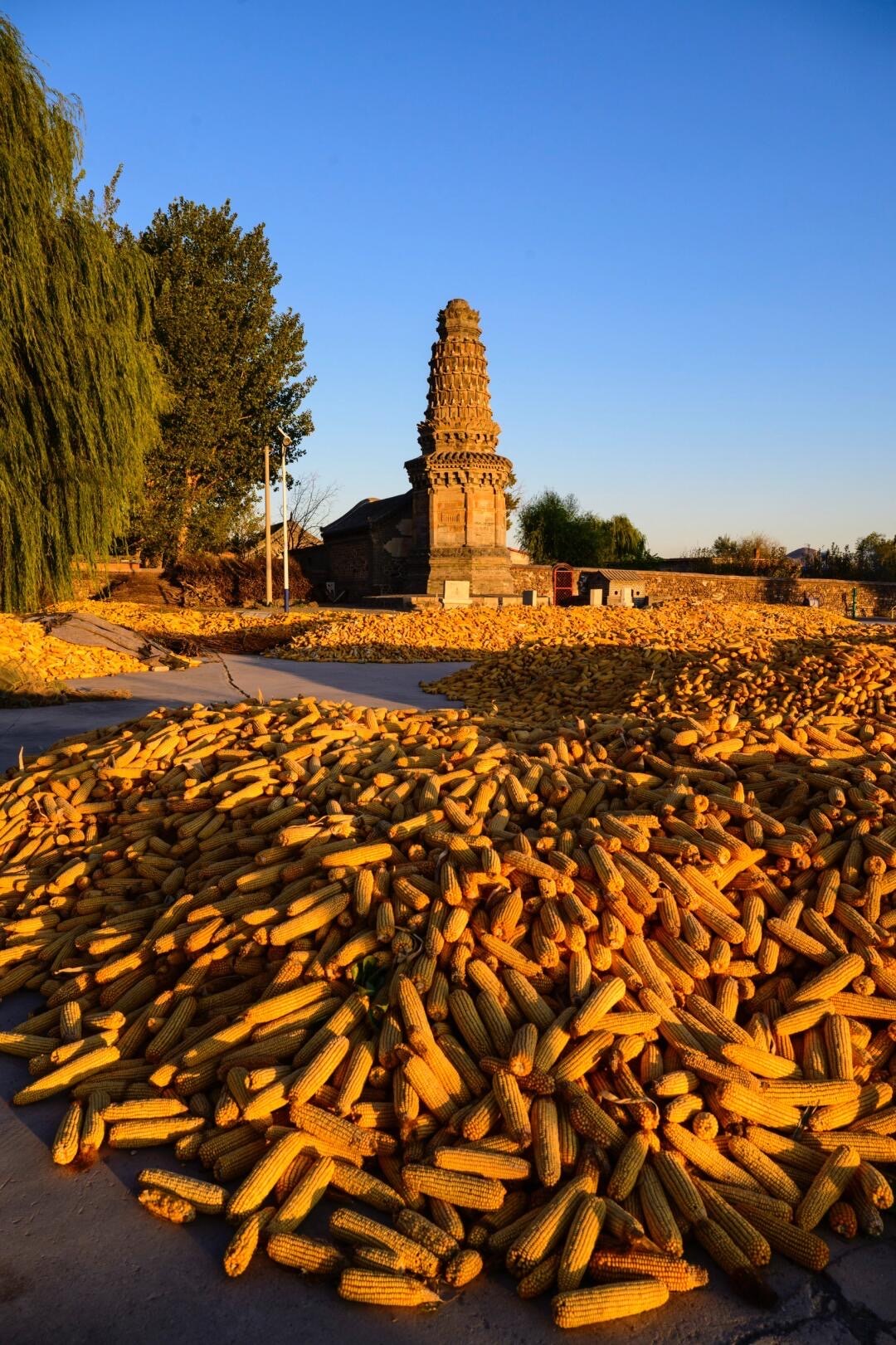 1058年一座小花塔,孤零零在锦州等你看它