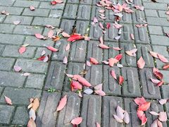 -世博家园八街坊
