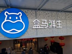 门面-盒马鲜生(双清路店)