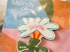 -O'eat Blossom&Pelican(深圳首店)