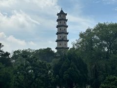 -江心屿景区