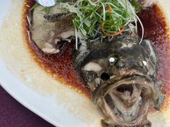 -万柳阁小馆·花园餐厅(龙潭湖店)