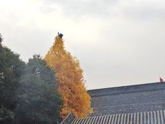 -西安市广仁寺